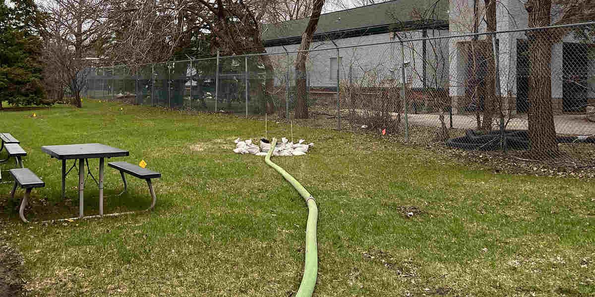 what drain cleaner is safe for septic systems